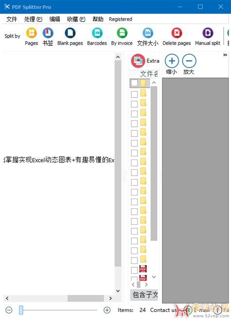 Coolutils PDF Splitter Pro